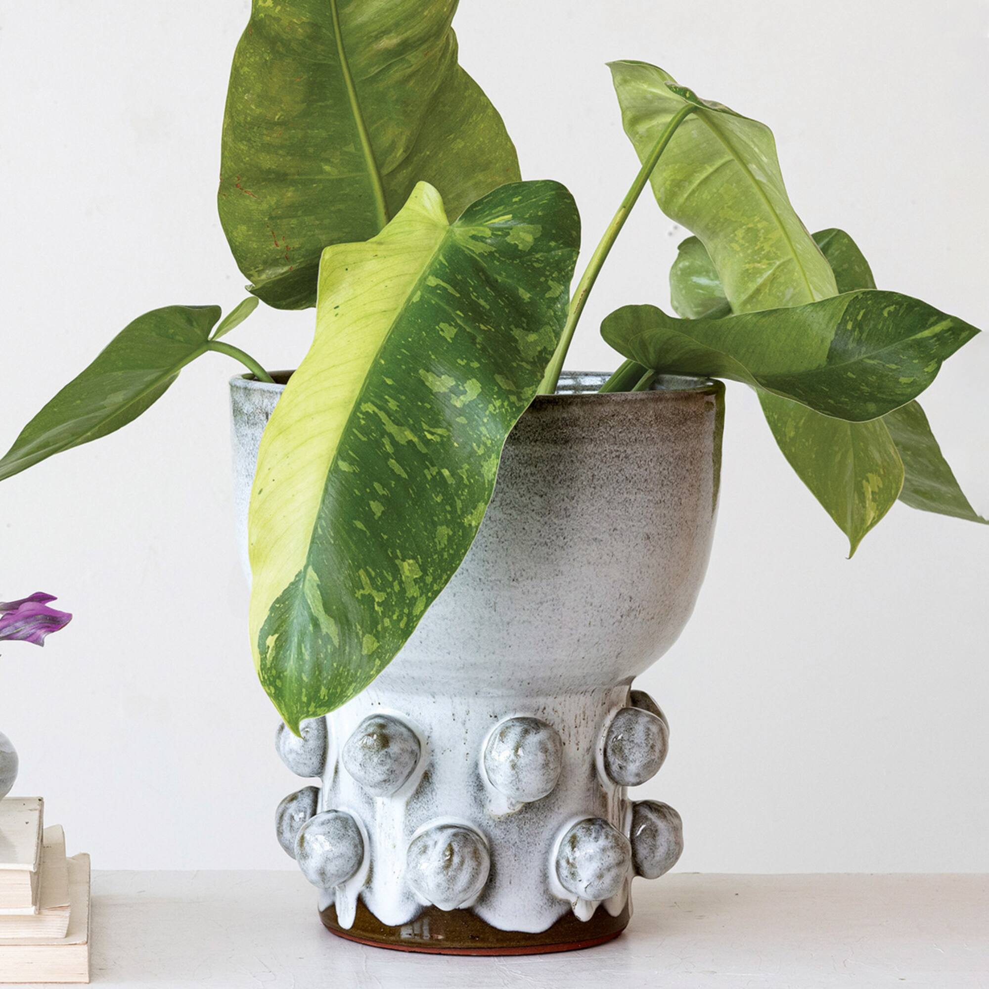 Hello Honey® 12.25" White Terra Cotta Footed Vase with Raised Dots & Reactive Glaze